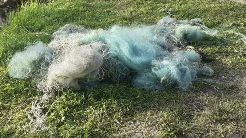 Cəlilabad rayon sakinləri qanunsuz ov ediblər