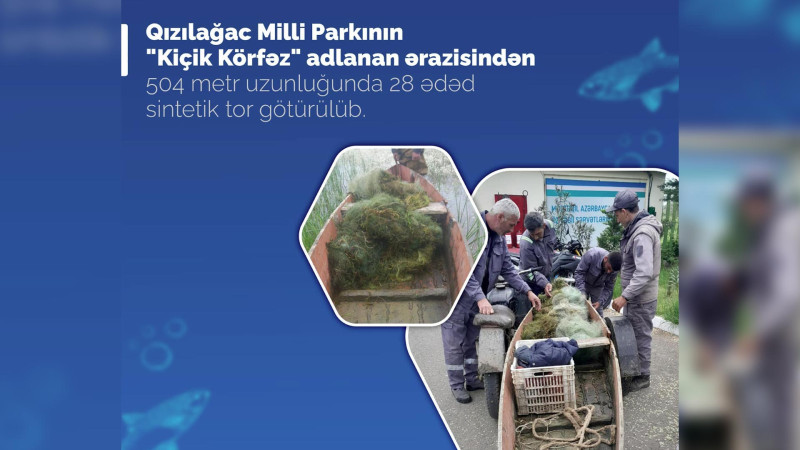 Qızılağac Milli Parkında sintetik torlar tapılıb