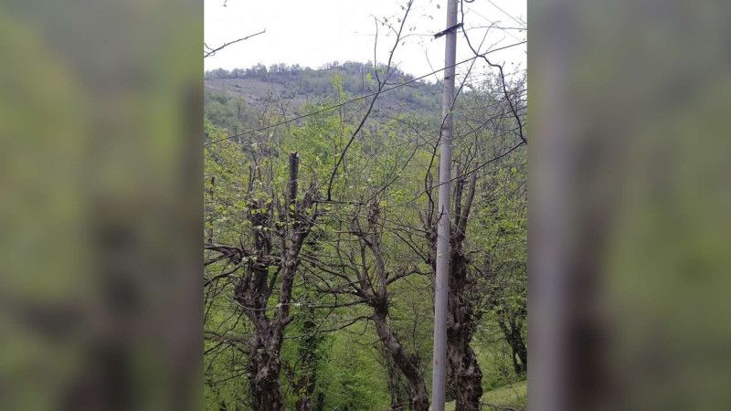 Astaranın Lomin kəndində qəzalı dirəklər yenilənib