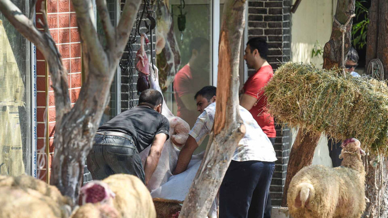 AQTA ət kəsimi məntəqələrində yoxlama keçirib