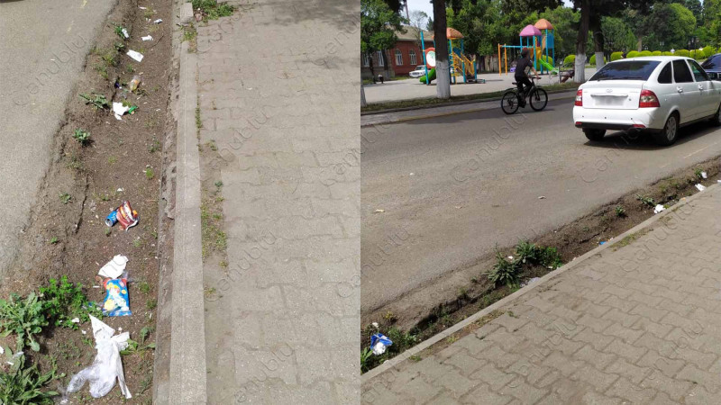 Lənkəranda zibil qutularının az olmasının fəsadları