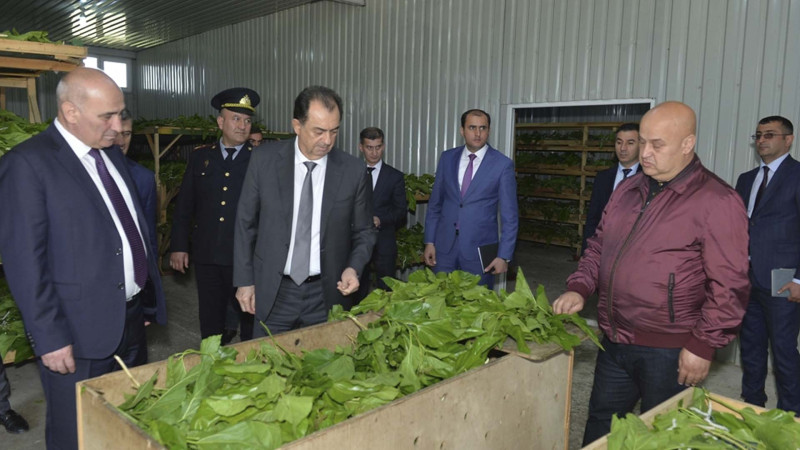 Taleh Qaraşov rayonda barama istehsalı ilə məşğul olan kümxanada olub