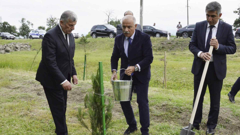 Masallıda ağacəkmə aksiyası baş tutub