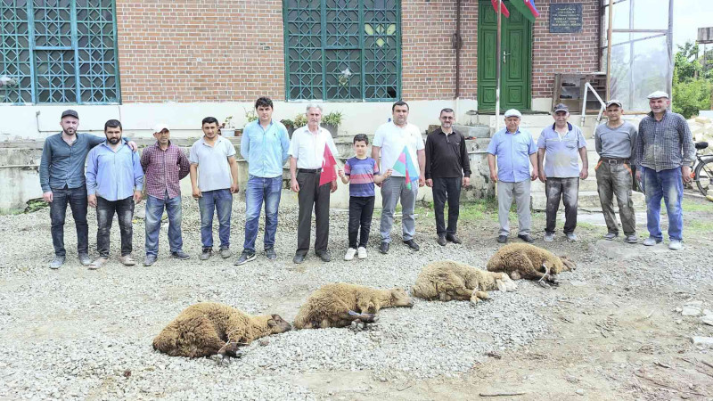 Masallıda Ərdoğanın qalibiyyəti münasibətilə qurbanlar kəsilib