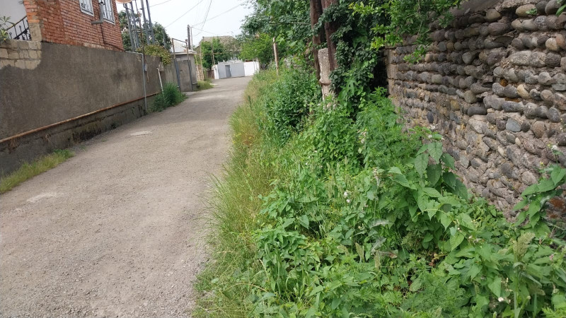 Lənkəranın bu küçələrində xəndəklərin təmizlənməsinə ehtiyac var