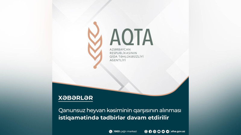 Qida Təhlükəsizliyi Agentliyi Masallıda obyekt cərimələyib