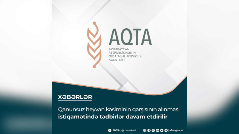 Masallıda 3 sahibkar cərimələnib