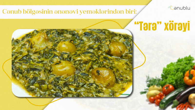 Cənub bölgəsinin ənənəvi yeməklərindən biri: “Tərə”