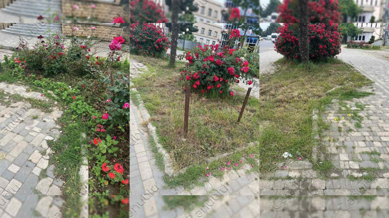 Masallının mərkəzi küçəsinin vəziyyəti