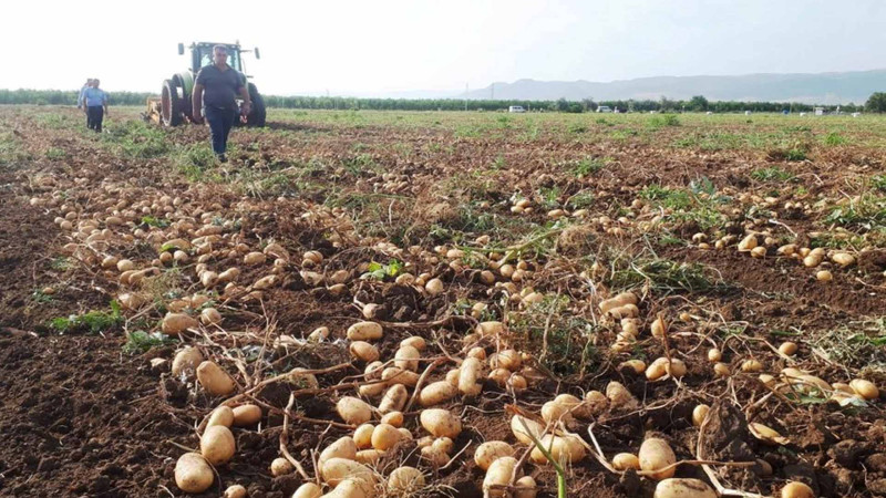 Cəlilabadlı fermerlərlə görüş baş tutub