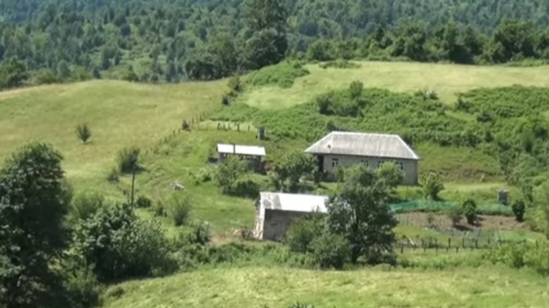 Lənkəranın Günəhir kəndində nə qaz var, nə də ki odun