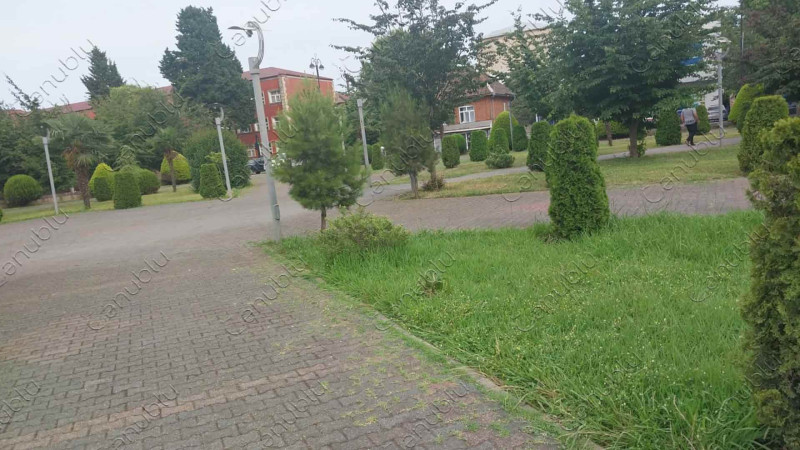 Əsgər Əliyev adına parkda istirahət üçün lazımi şərait yoxdur