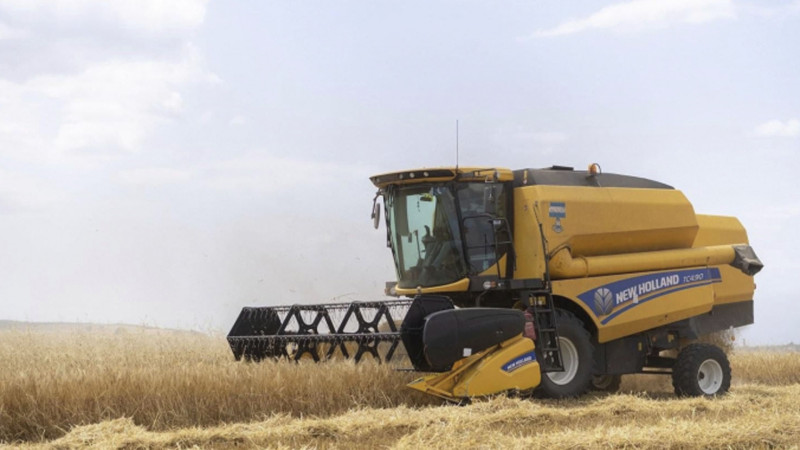 Masallıda taxıl yığımı davam edir