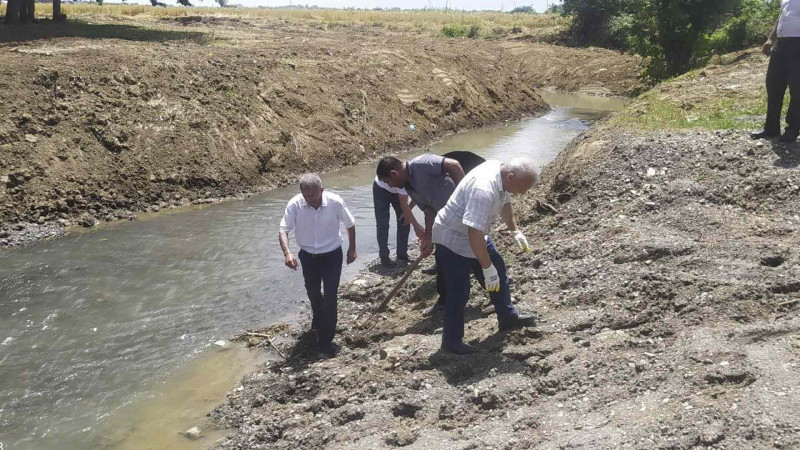 Masallının meşəlik ərazisi tullantılardan təmizlənib