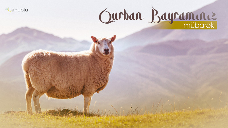 Bu gün Azərbaycanda Qurban bayramı qeyd edilir