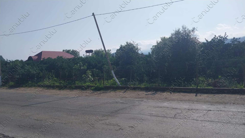 Astaranın Pensər kəndinin qəzalı dirəyi
