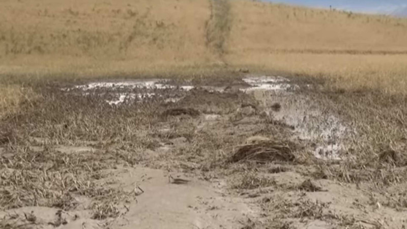 Cəlilabadda min hektara yaxın əkin sahəsi yararsız hala düşüb