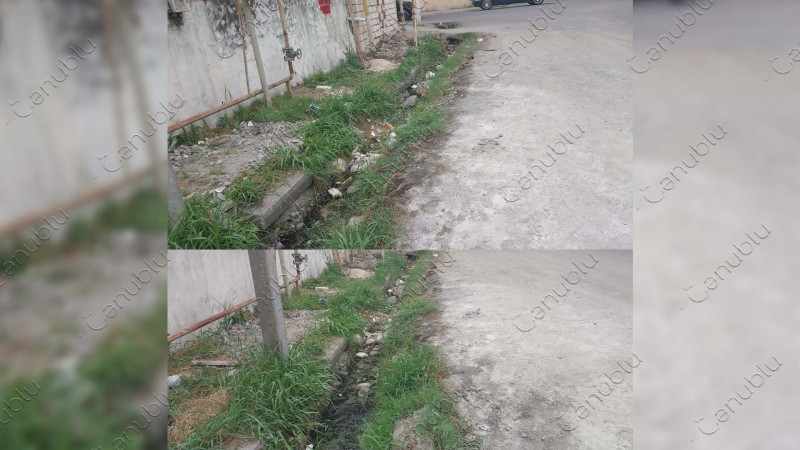 Lənkəranda çirkli xəndək və piyada səkisinin olmaması sakinlərə çətinlik yaradır