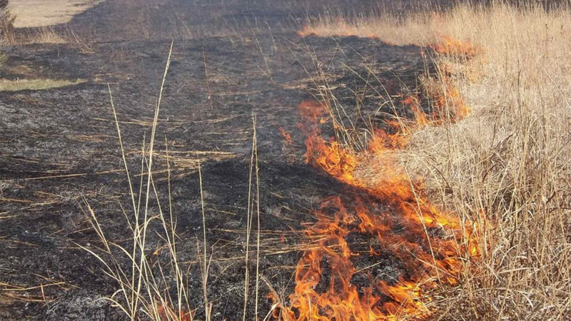 Cəlilabadda qəzalı dirəyin aşması nəticəsində yanğın baş verib