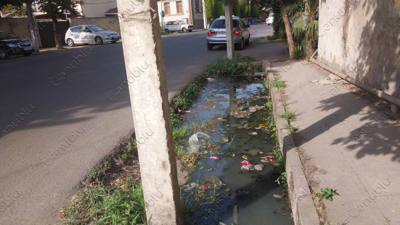 Lənkəran şəhərinin Füzuli küçəsini üfunət bürüyüb