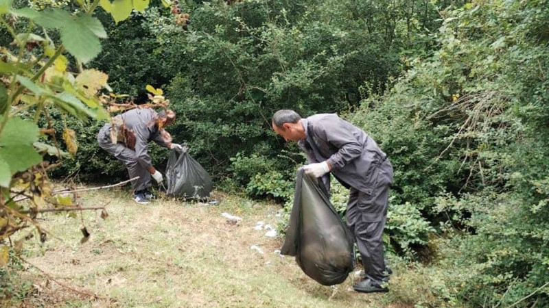 Lənkəran: meşə ərazisində iməcilik aparılıb