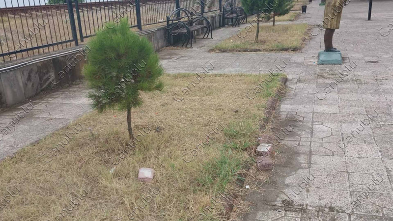 Lənkəranda yerləşən Sahil parkı baxımsız vəziyyətdədir