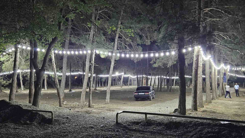 Cəlilabadın Şiləvəngə kəndində park salınır