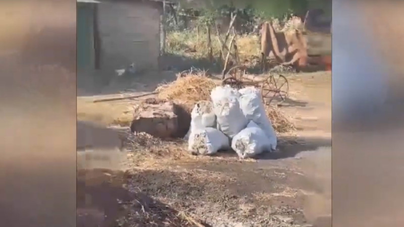 Cəlilabadda qanunsuz kömür istehsalı ilə məşğul olan şəxs cərimələnib