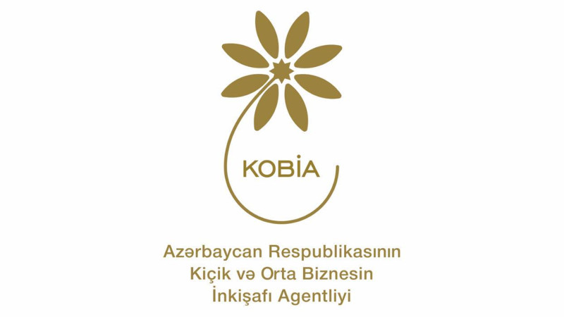 Lənkəranda sahibkarlar üçün təlimlər keçiriləcək