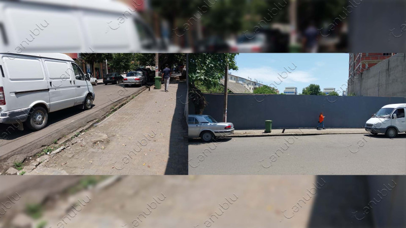 Lənkəranın mərkəzində ağaclar kəsilib