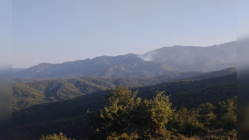 Cəlilabadda meşədə yanğın törədən şəxs müəyyən edilib