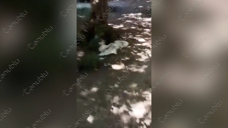 Daha bir izləyicimiz təbiətə biganə yanaşanlara müraciət edib