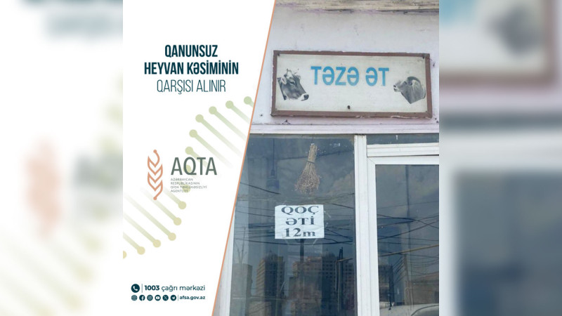 Masallıda 5 heyvan kəsimi məntəqəsinin sahibləri cəzalandırılıblar