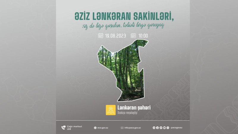 Lənkəran meşəbəyliyində təmizlik aksiyası keçiriləcək