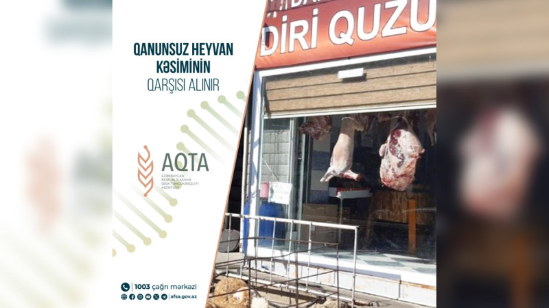 Araz Əhmədov Öncəqala kənd sakinləri ilə görüşüb