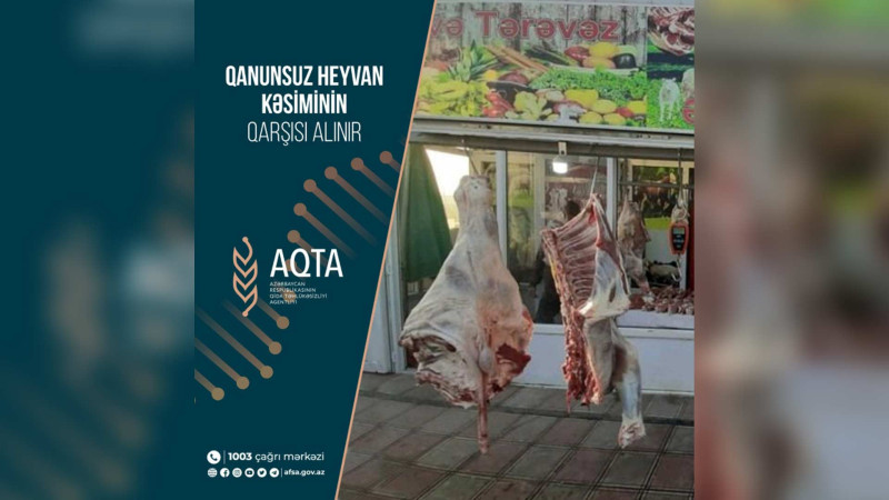Masallıda qanunsuz heyvan kəsimi aşkar olunub