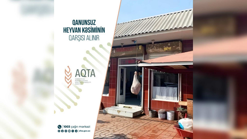 Lənkəran və Masallıda qanunsuz heyvan kəsiminin qarşısı alınıb