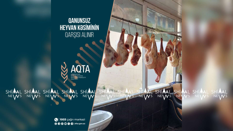 Masallıda bir sıra məntəqələrdə qanunsuz heyvan kəsiminin qarşısı alınıb