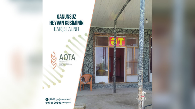 Lənkəran və Masallıda qanunsuz heyvan kəsiminin qarşısı alınıb