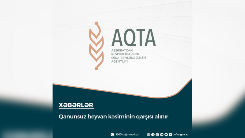 Lənkəranda qanunsuz heyvan kəsiminin qarşısı alınıb