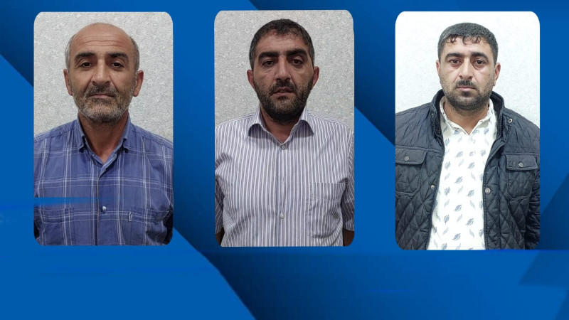 İnək oğruları ilə bağlı təfərrüatlar üzə çıxıb