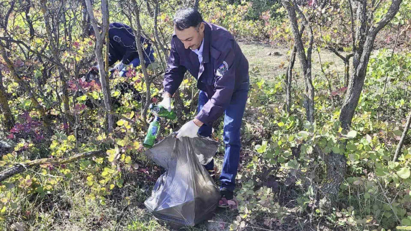 Astara və Masallı meşə ərazilərində təmizlik aksiyaları keçirilib