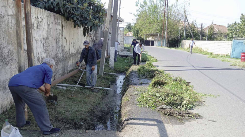 Lənkəranda rayonmiqyaslı iməcilik işləri aparılır
