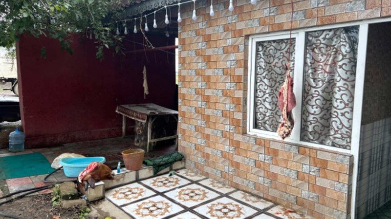 Masallıda qanunsuz heyvan kəsiminin qarşısı alınır