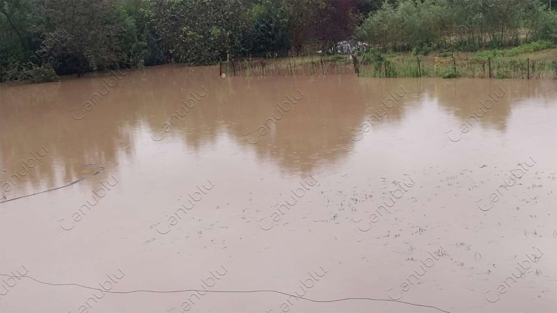 Aramsız yağan yağışlar Astaranı Venesiyaya çevirib - YENİLƏNMƏ