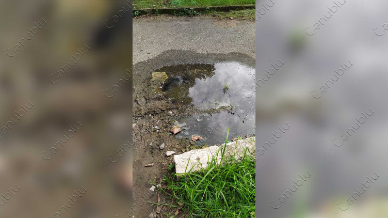 Lənkəran şəhər 17 saylı uşaq bağçasının həyətindəki kanalizasiya dolub-daşır