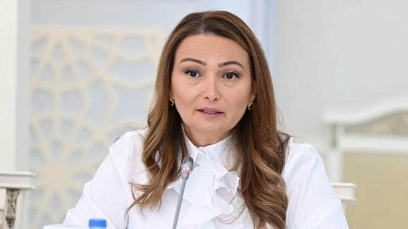 Rəşad Mahmudov: “Qənirə Paşayevanın orqanlarının bağışlanması mümkün deyil”