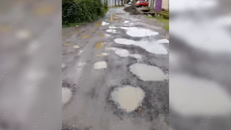 Lənkəranın Yuxarı Nüvədi kəndinin sakinləri yol problemi ilə üzləşiblər