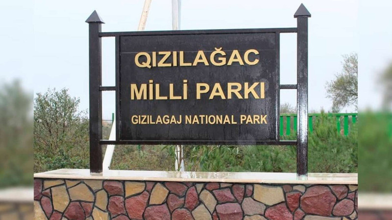 Xidmət rəisi Qızılağac Milli Parkındakı vəziyyətdən danışıb
