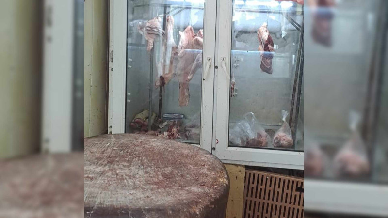 AQTA Masallıda yoxlama keçirib